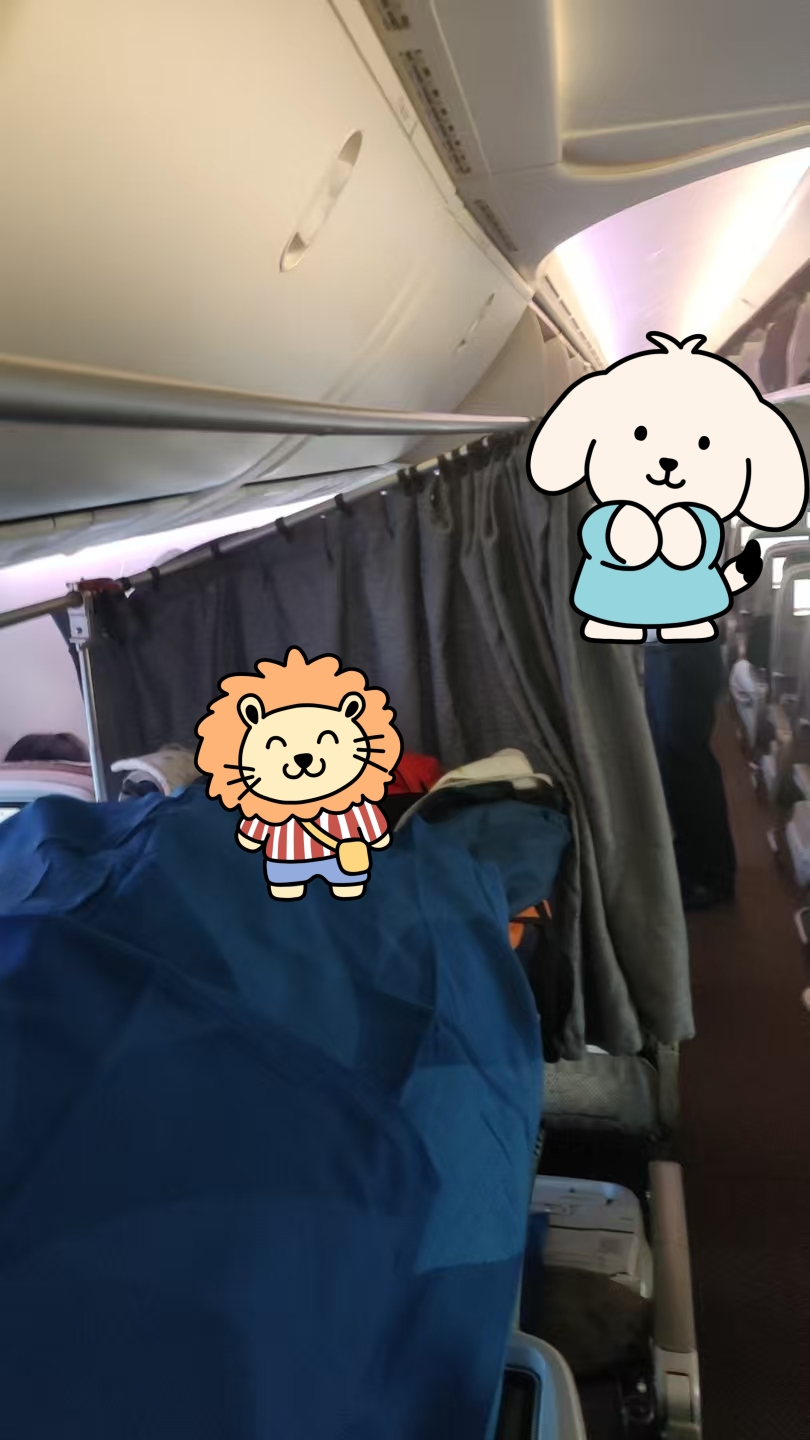 1002 躺上飞机_副本.jpg